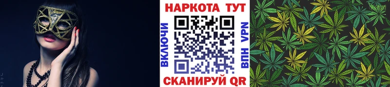 Где купить наркоту Весьегонск Бошки Шишки СК Гашиш МЕФ