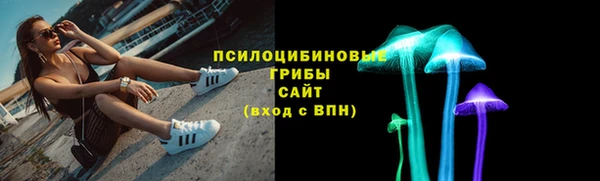 дживик Алексин