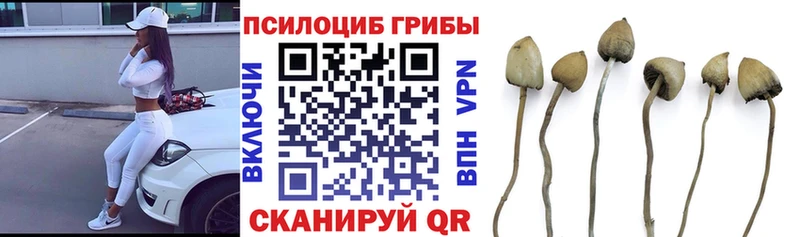 купить наркотик  Весьегонск  Галлюциногенные грибы мухоморы 